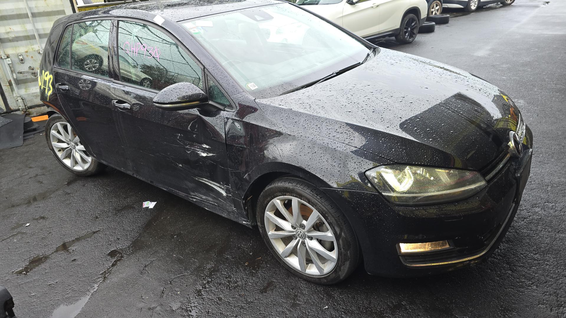 2013 Golf image 1