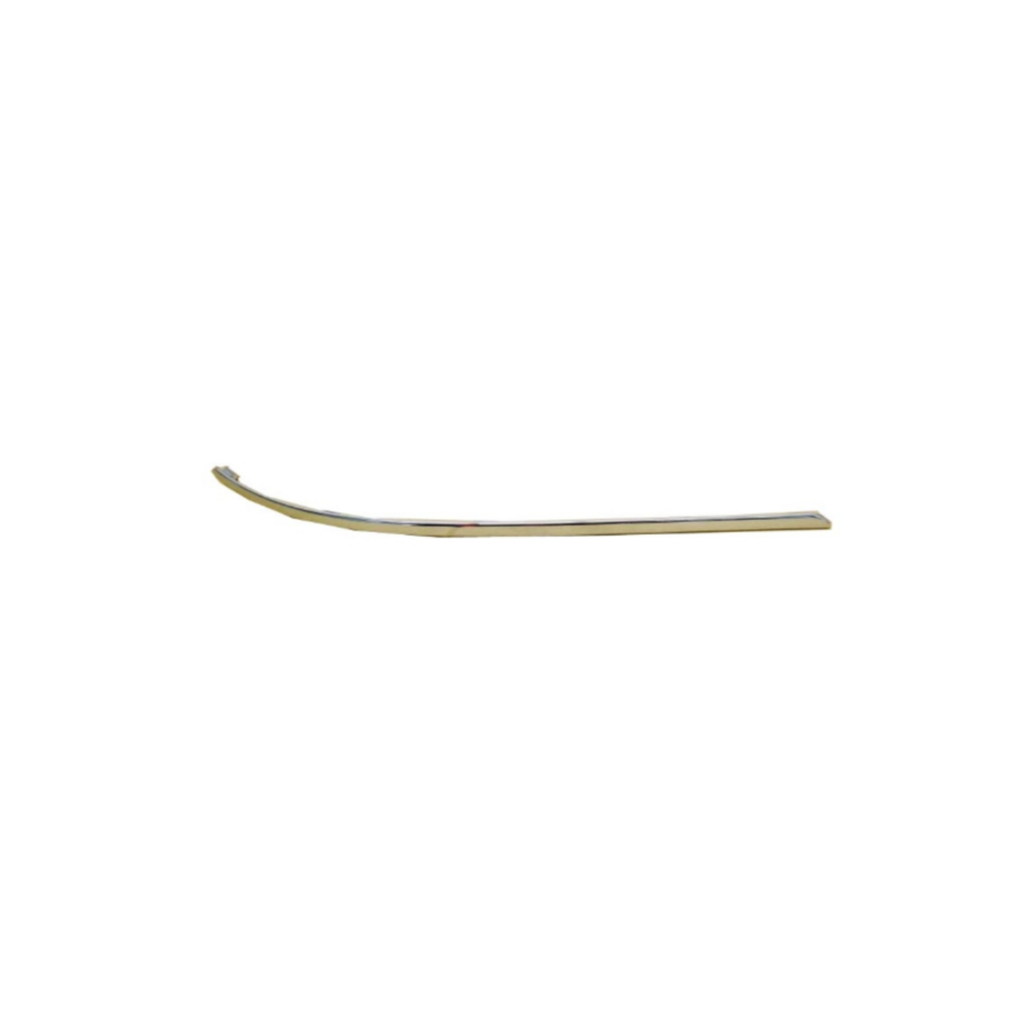 Bumper Moulding (2468851021)